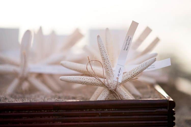 starfish seating cards