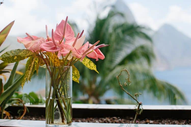 Destination Wedding in St. Lucia_36