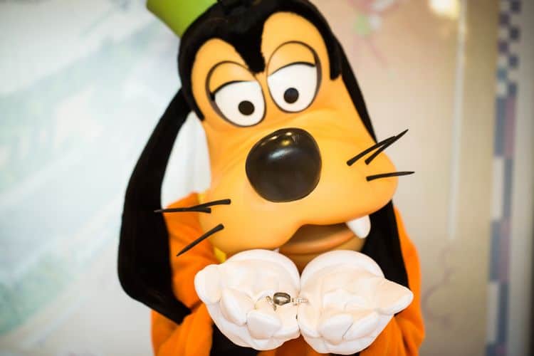 Disney Wedding - Goofy holding the wedding rings