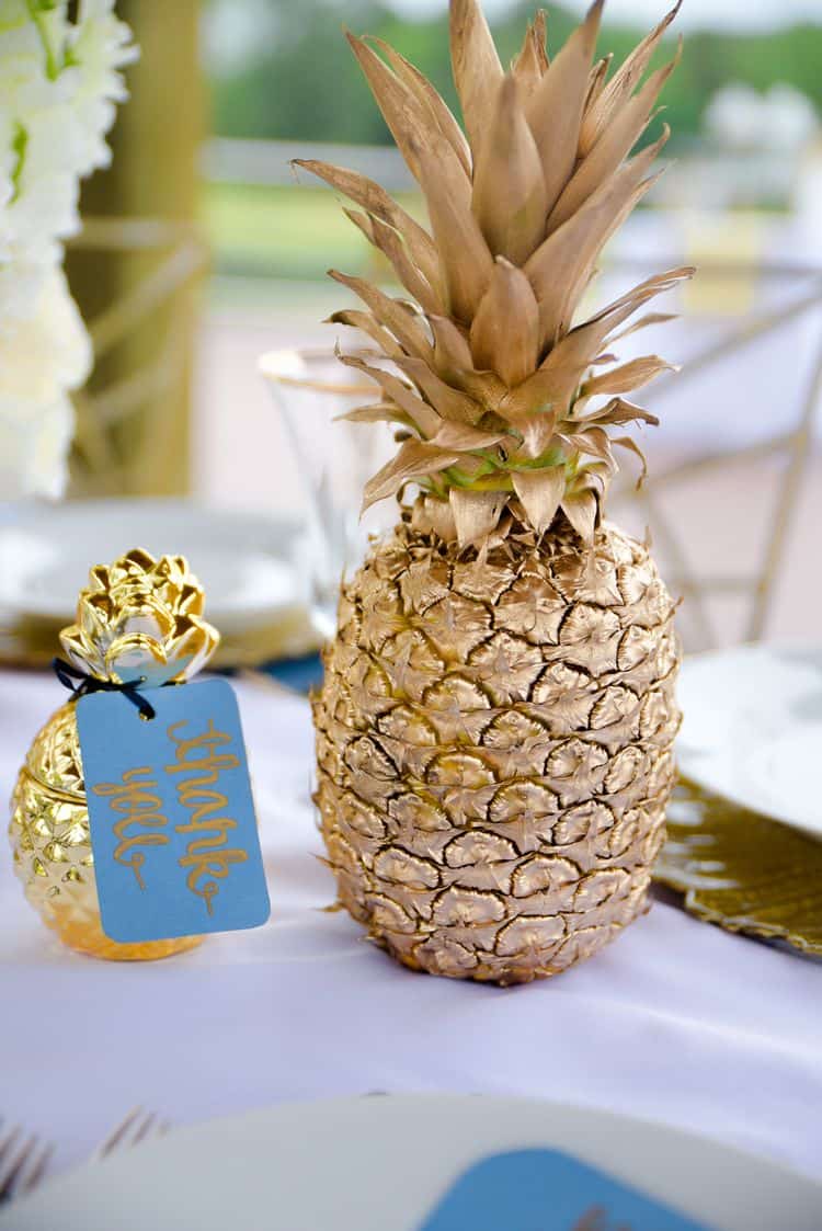 Golden Pineapple elopement in North Carolina 14