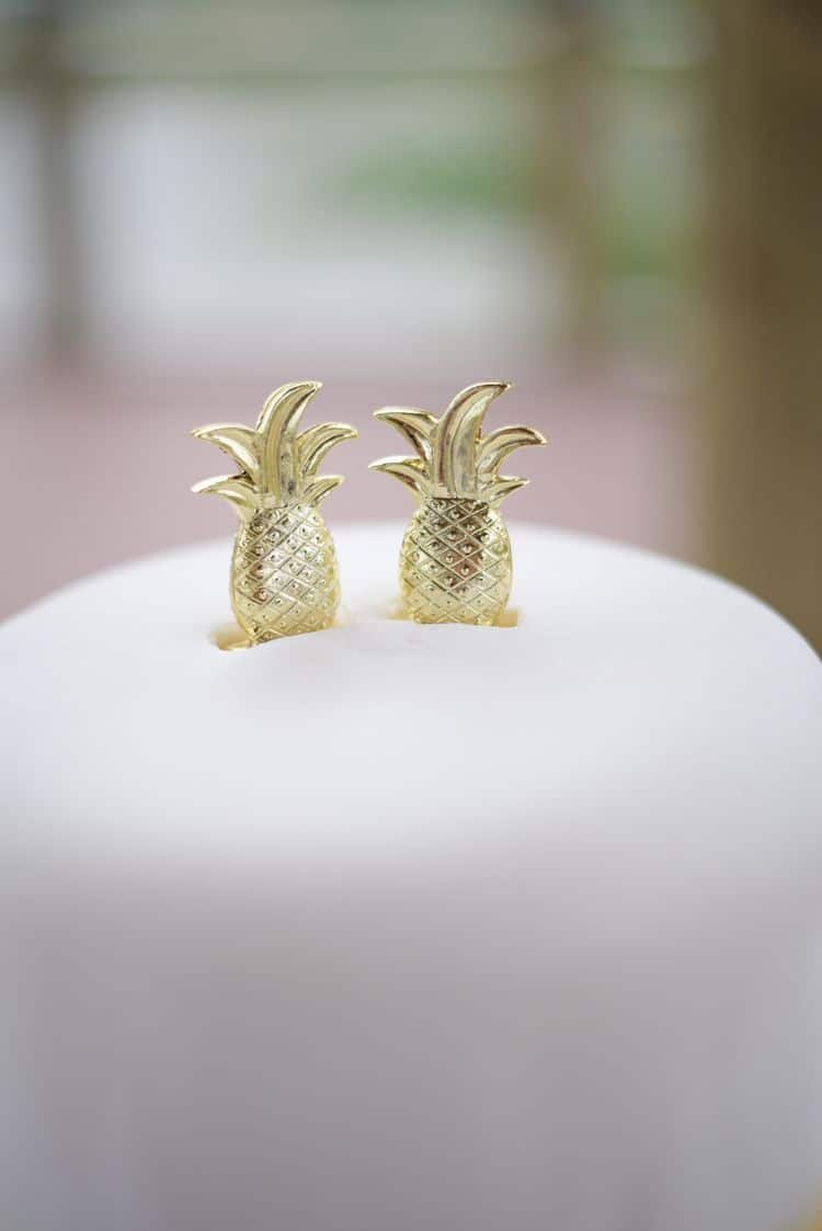 Golden Pineapple elopement in North Carolina 148