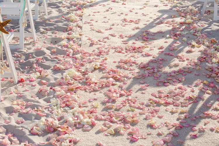 destination beach wedding in florida