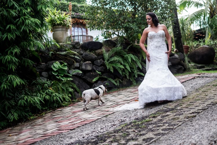 rainforest wedding