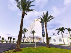 Riu paradise island destination wedding 240x180