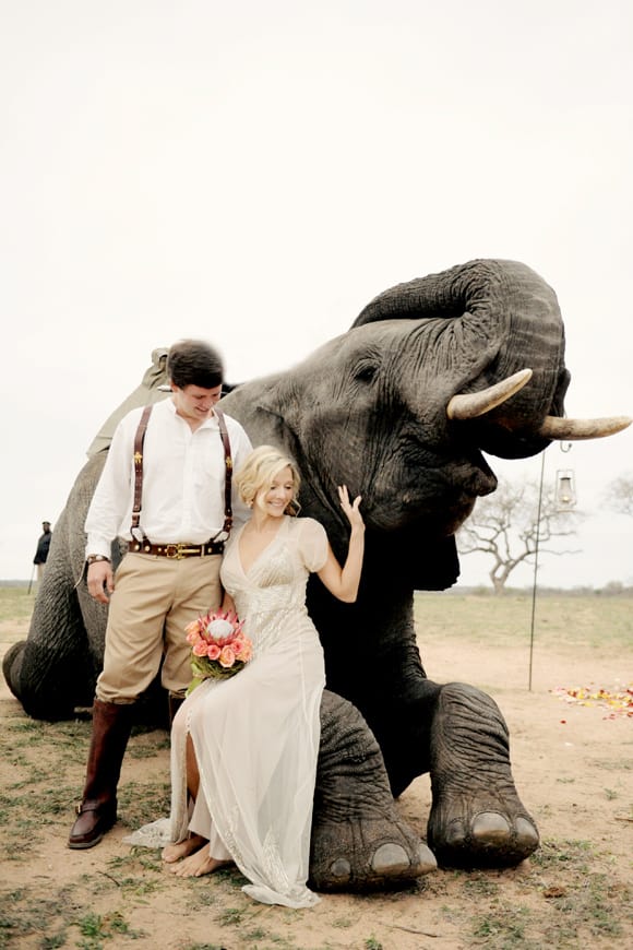 safari destination wedding