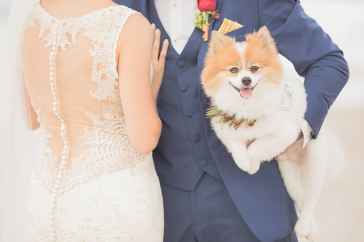 Beauty and the Beast themed wedding on the Beach