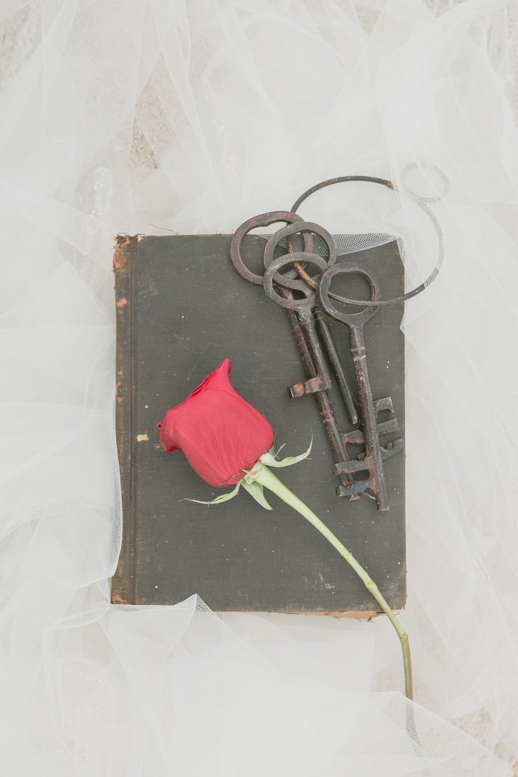 Beauty and the Beast themed wedding on the Beach