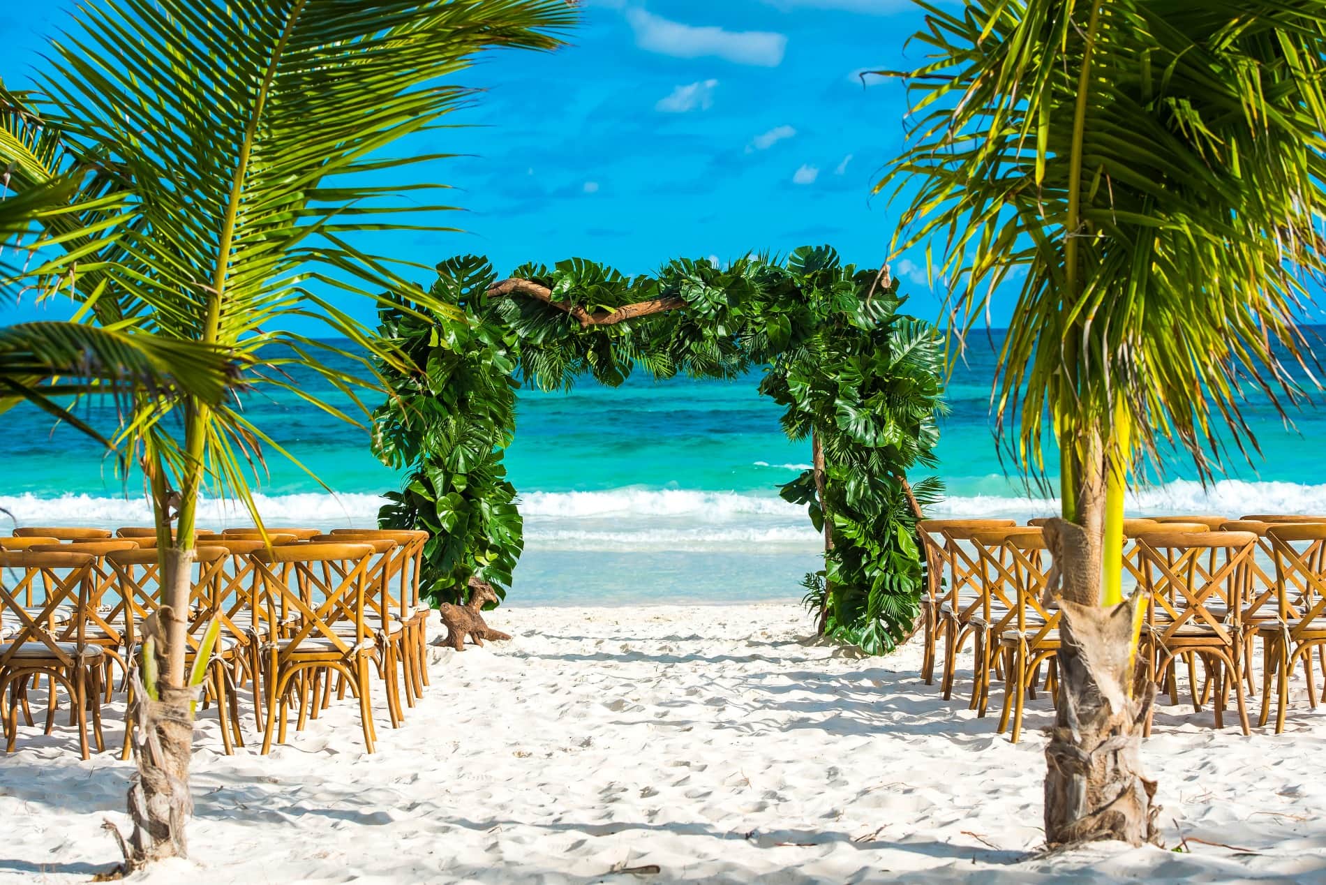 Beach on sale wedding arch