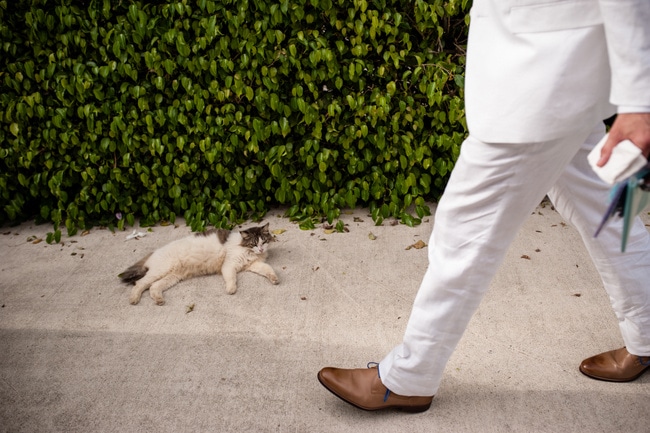 50+ Stylish Destination Wedding Groom Attire Ideas destination wedding groom attire 48