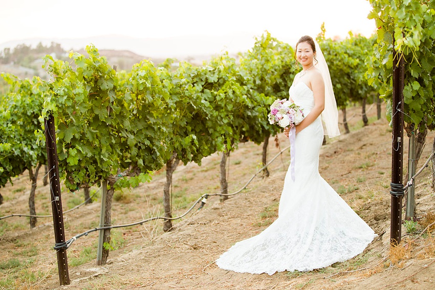 falkner winery wedding 0013