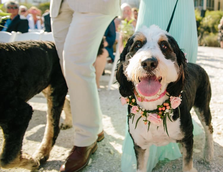 Isle of Palms wedding