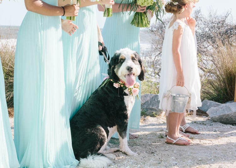 Isle of Palms wedding