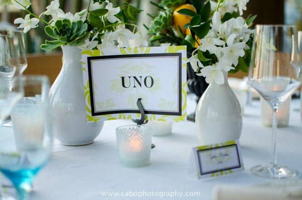 wedding in cabo san lucas capella pedregal