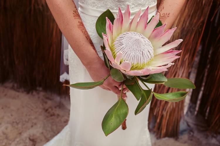 protea flower wedding bouquet