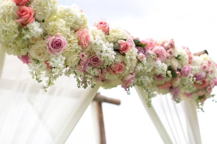 Wedding at Sugarman Estate in Maui