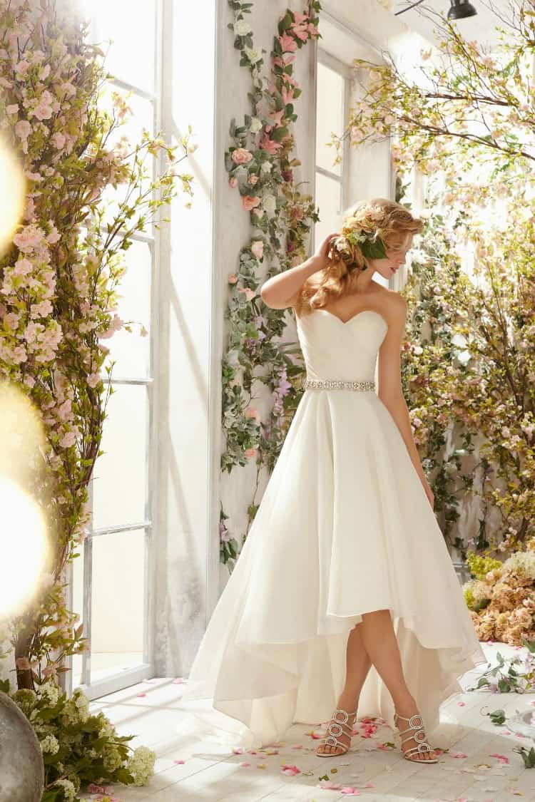  Short  Wedding  Dresses  that are Classy Sassy