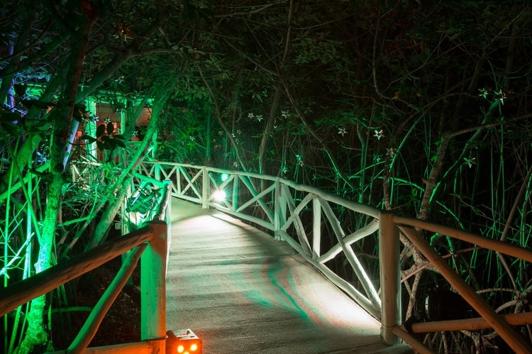 sunset beach wedding at Banyan Tree Mayakoba