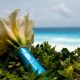 tips for choosing beach wedding flowers