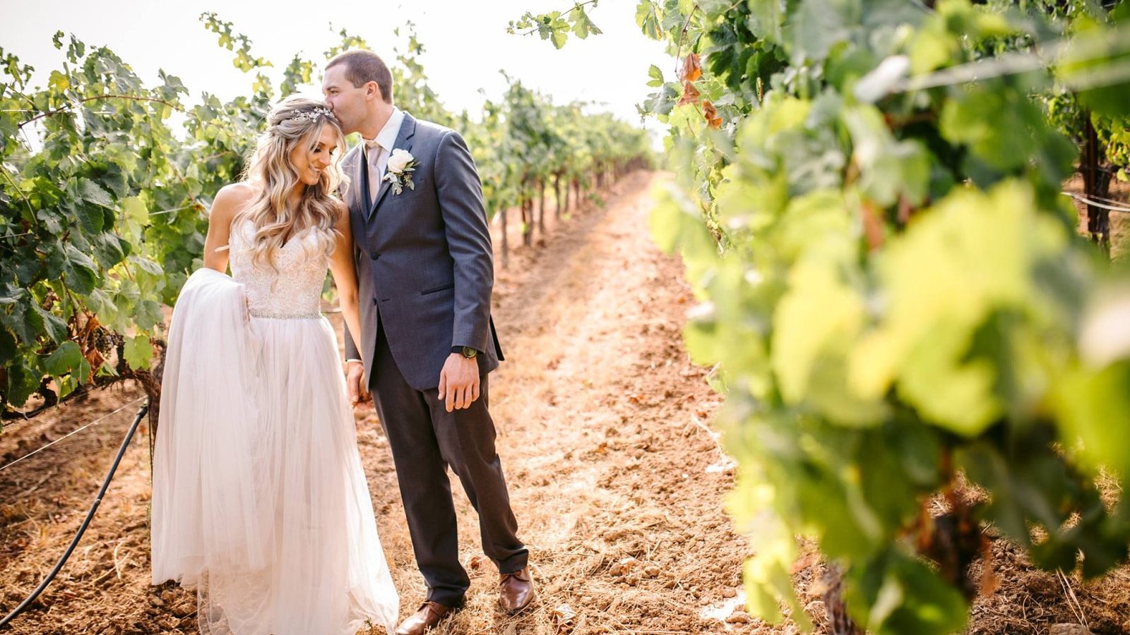 Discover The Dalton Ranch A Hidden Gem For Wine Country Weddings